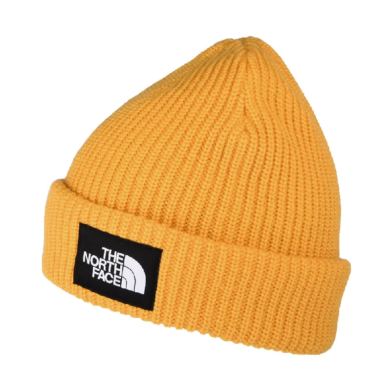 Soft cotton cap with breathable mesh back -The North Face Hats Salty Lined Beanie Hat - Dandelion