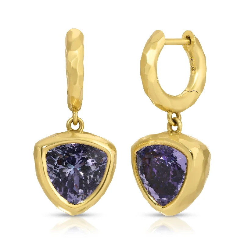 Best hoop earrings with custom engravings for a personalized and meaningful gift-Hidden Gem Hoops - Trillions Tanzanite