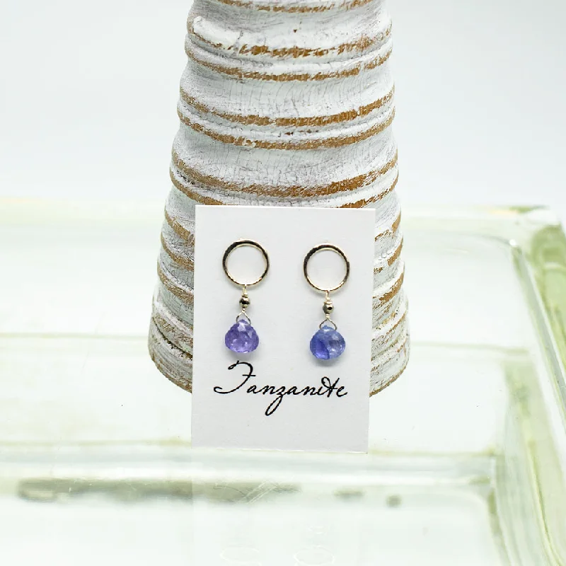 Best hoop earrings with custom engravings for a personalized and meaningful gift-Tanzanite Luna Silver Earrings